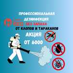 Акция 6000тг Дезинфекция Дизинфекция Дезинсекция клоп таракан насеком