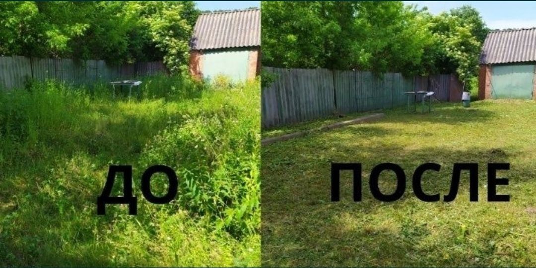 Скос травы , газон, спилим  деревья .