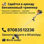 Триммер,мотокоса в аренду