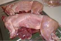 Продаю мясо КРОЛИКА