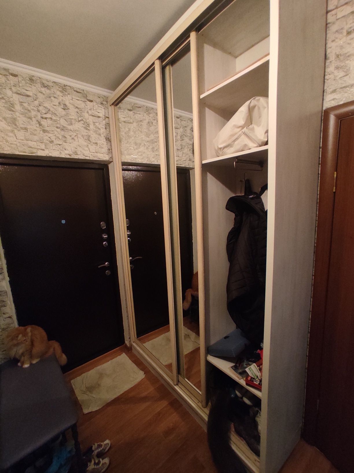 Шкаф -купе в прихожую