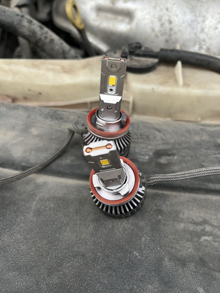 led h11 domax 4300k
