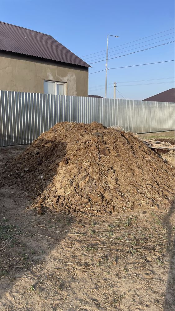 Кубір навоз сиыр малыныкы