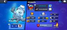 Brawl stars,14000 cub