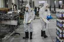 Дизинфекция  Дезинсекция от клопов и тараканов уничтожение