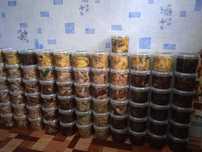 Продам грибы к-т Боровое