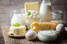 Молочная продукция