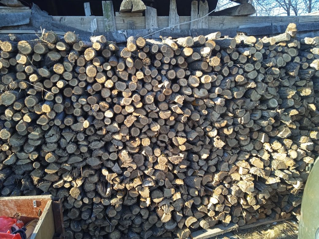 Продам дрова карагач 45000