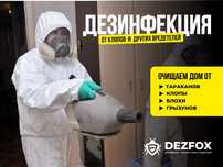 Дезинфекция Дезинцексия Помещений Кафе От Тараканов Клопов Мышей Крыс