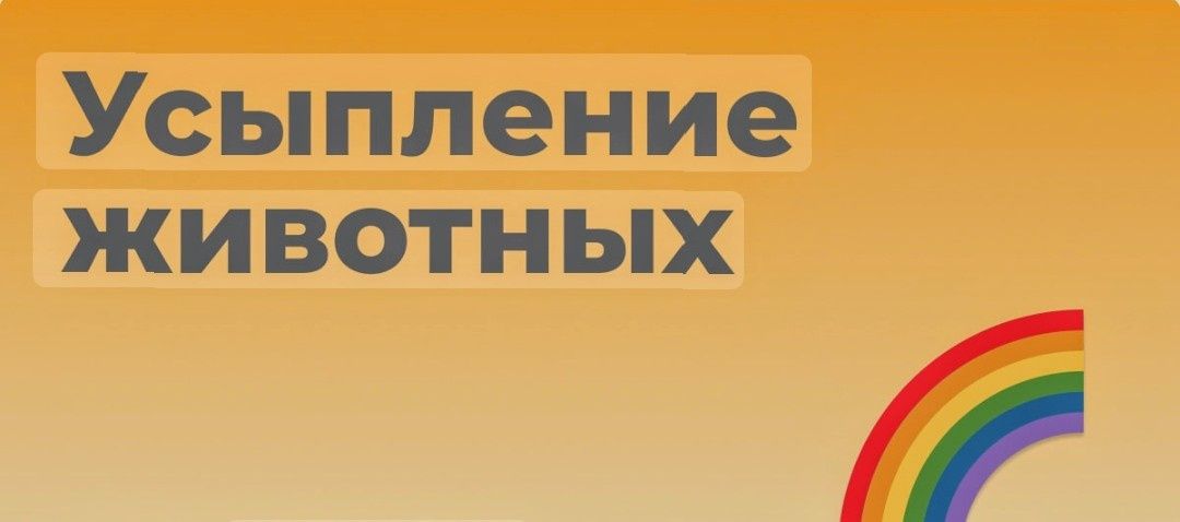 Ветеринарная помощь