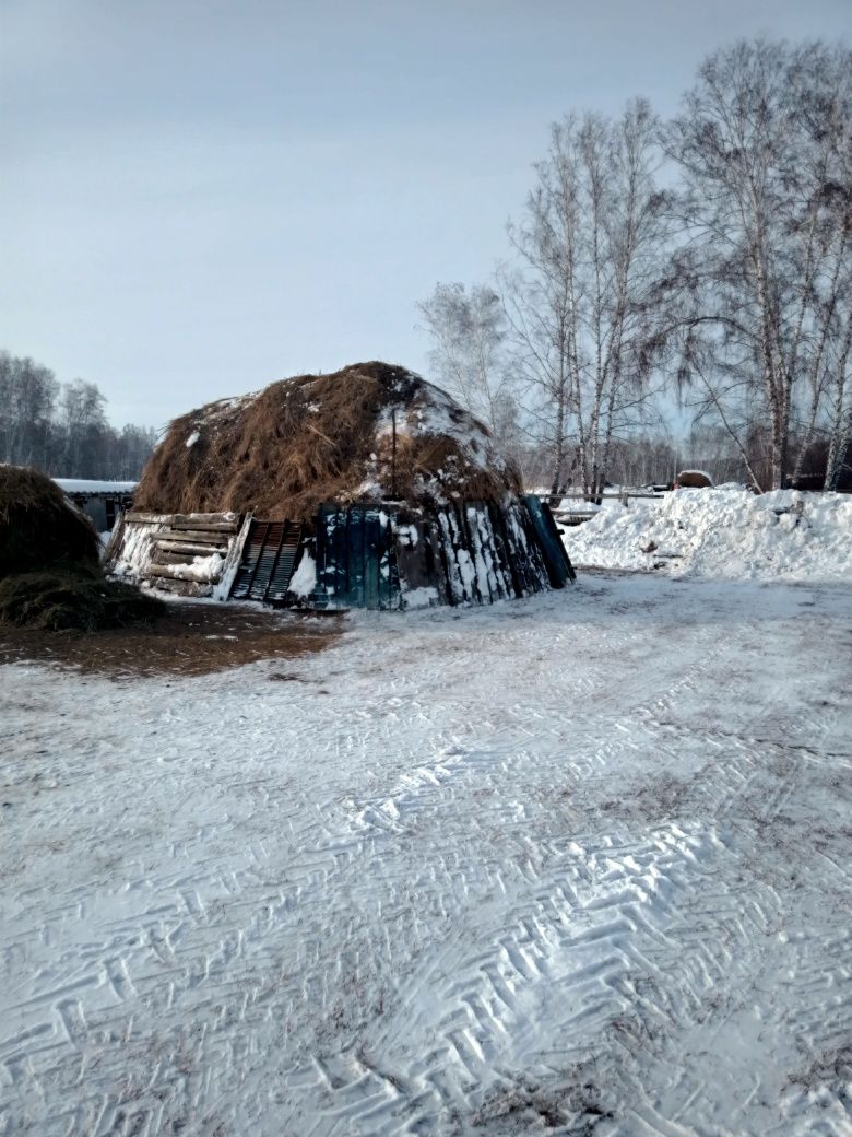 Подам сено в скерде