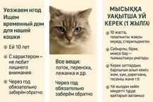 Мысыққа уақытша үй керек (1 жылға)