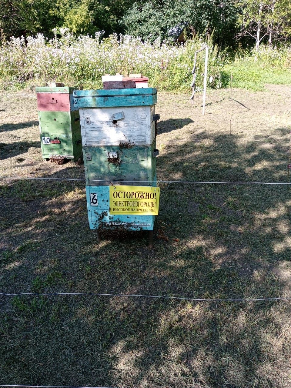 Продам узаконенную пасеку