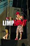 Продам билет на концерт LIMP BIZKIT 40.000 ТОРГ