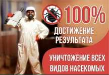 Угичтожение клопов, термитов и тараканов