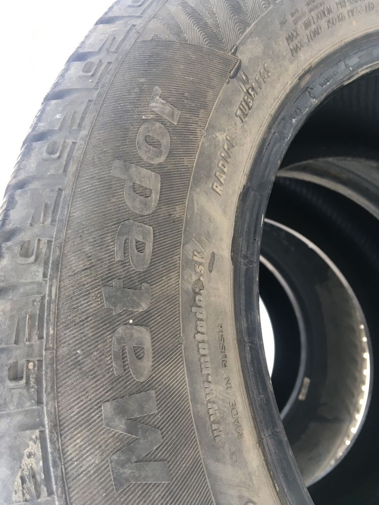 Автошина