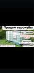 продам еврокубы 1000л