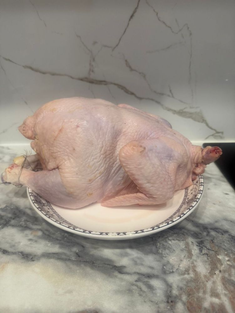 Куры бройлеры мясо