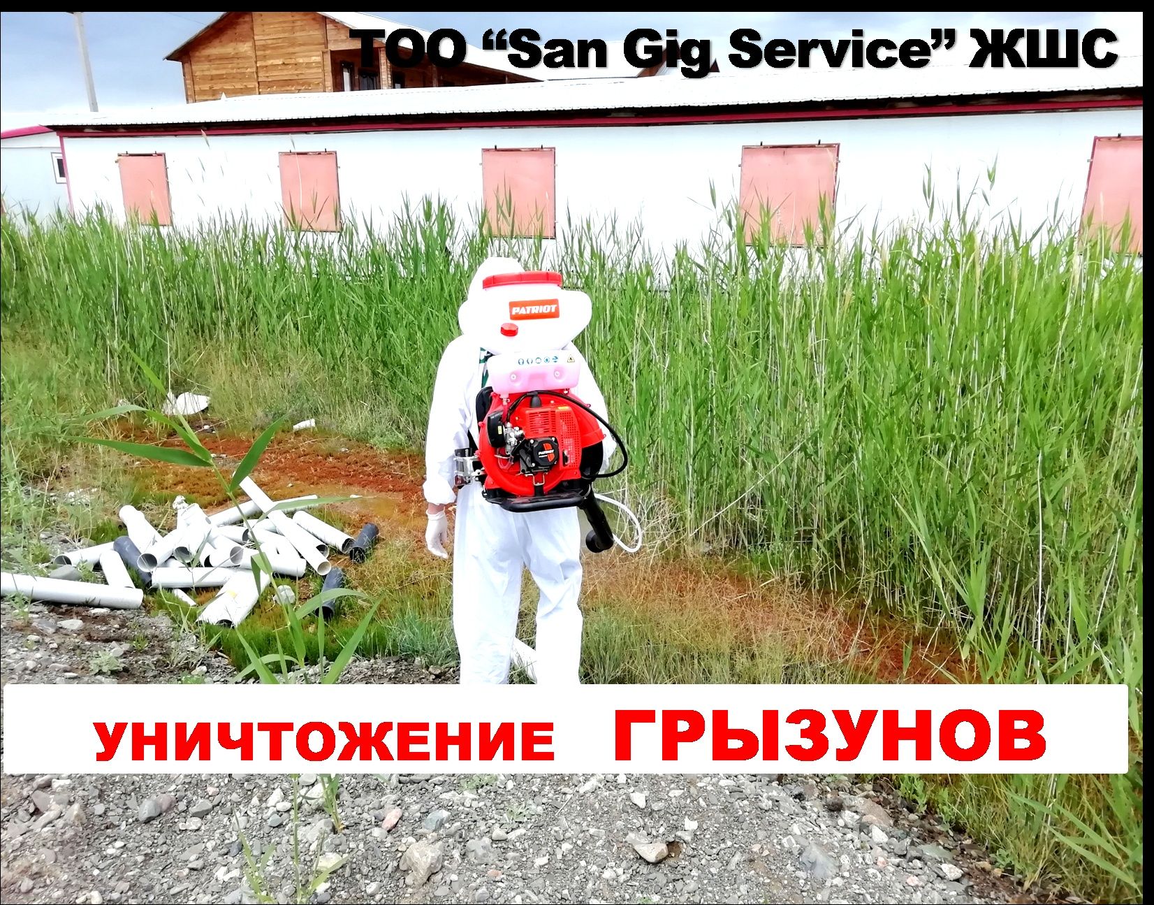 Дезинфекция муравьев, клопов, тараканов,  крысы, мышей