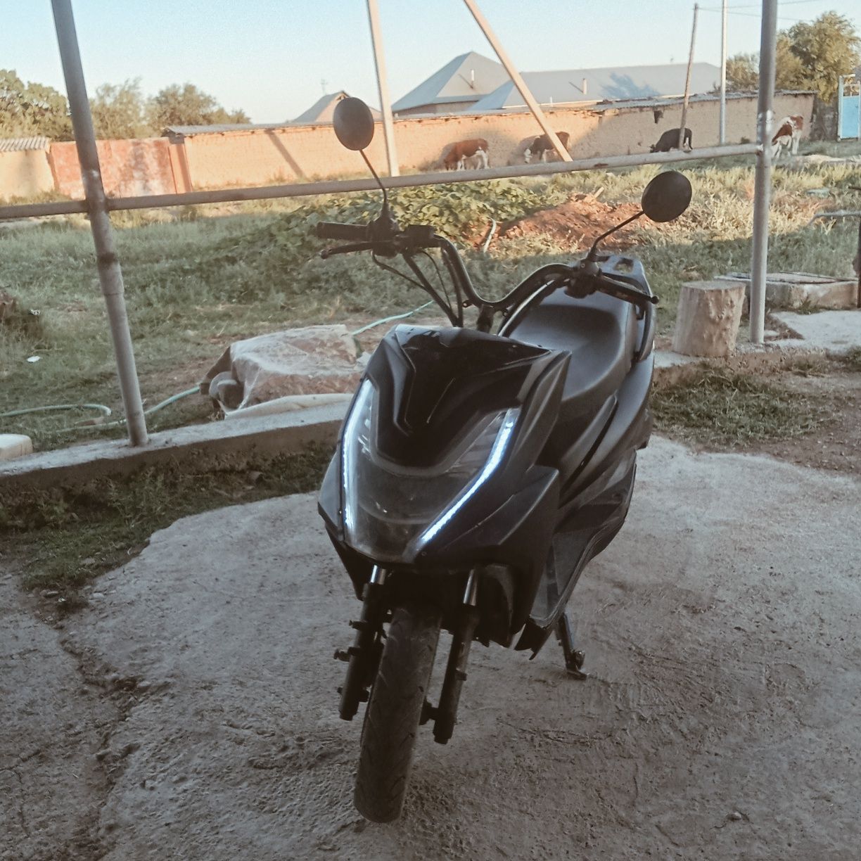 Мопед м10 хищниу