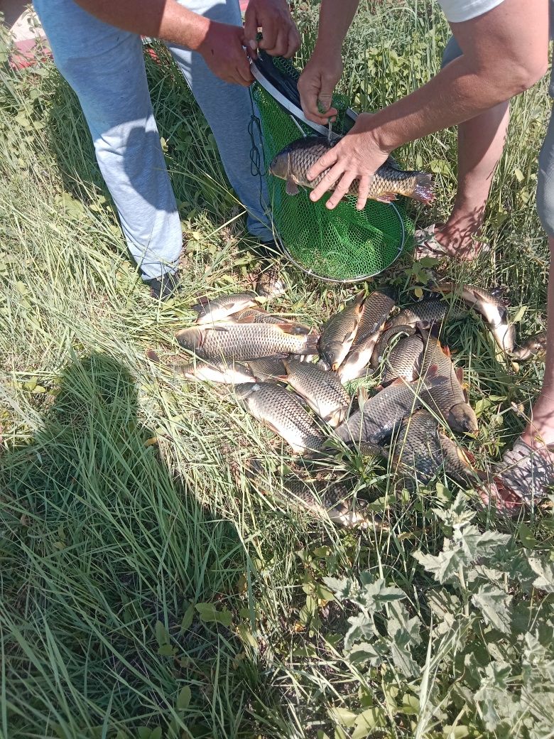 Отдых рыбалка Балхаш