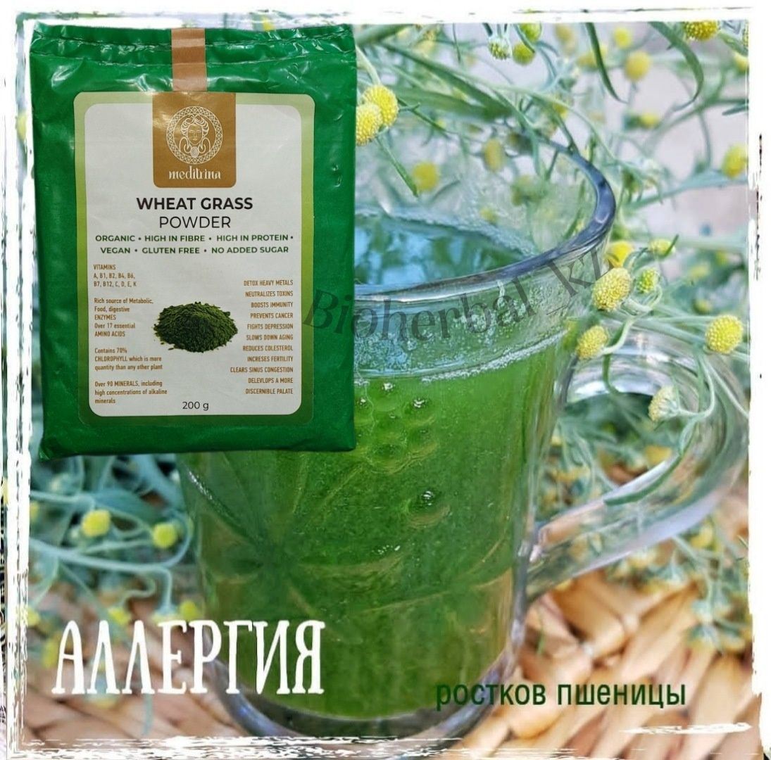 Витгросс Пшеница проросшая Ростки Wheat Gross порошок Detox Премиум