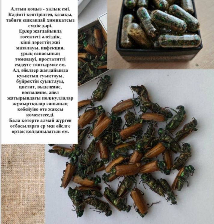 Алтын коныз Майски жук Алматы