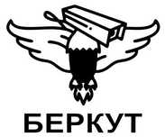 Установка видеонаблюдения ,СКУД, Домофон. Компания Беркут
