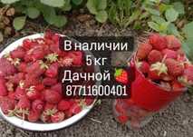 Клубника дачная с огорода 2500