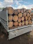 Продам дрова чурки сосна