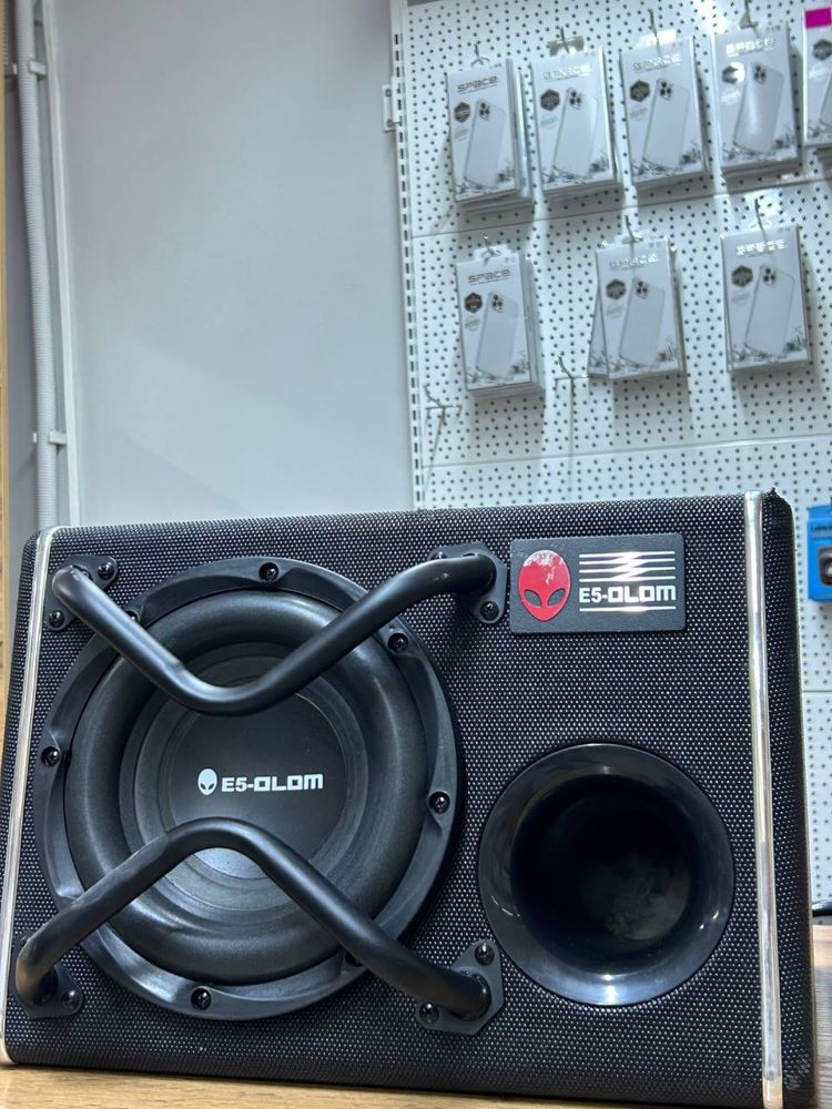 Сабвуфер Е5-OLOM Es-3010v2