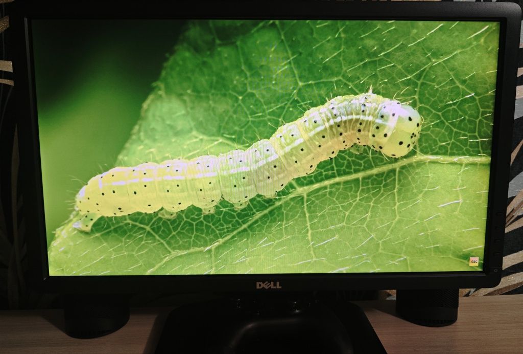 FullHD монитор Dell E2213Hb с диагональю 22 дюйма