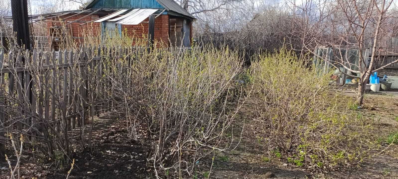 Дача 12 соток, есть свет, 19 маршрут, 4 общество,