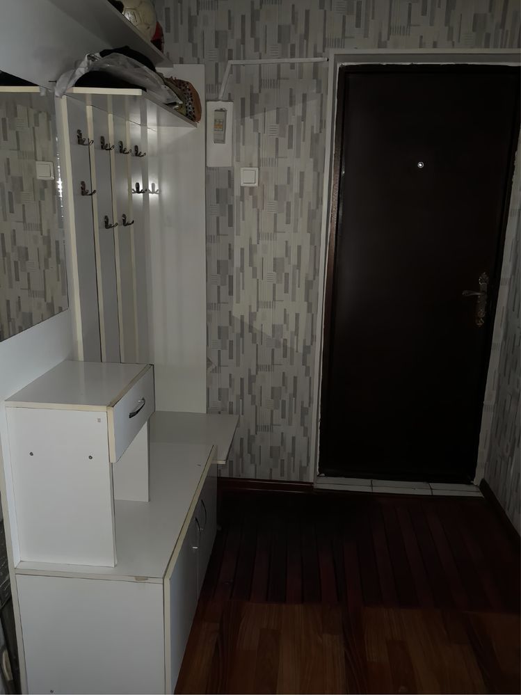 квартира Абдразакова 49/25