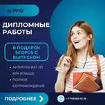 Дипломная работа ДОКТОРСКАЯ PhD диссертация магистерская