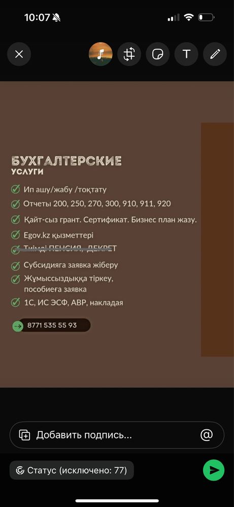 ИП/ТОО отчет/сопровождение