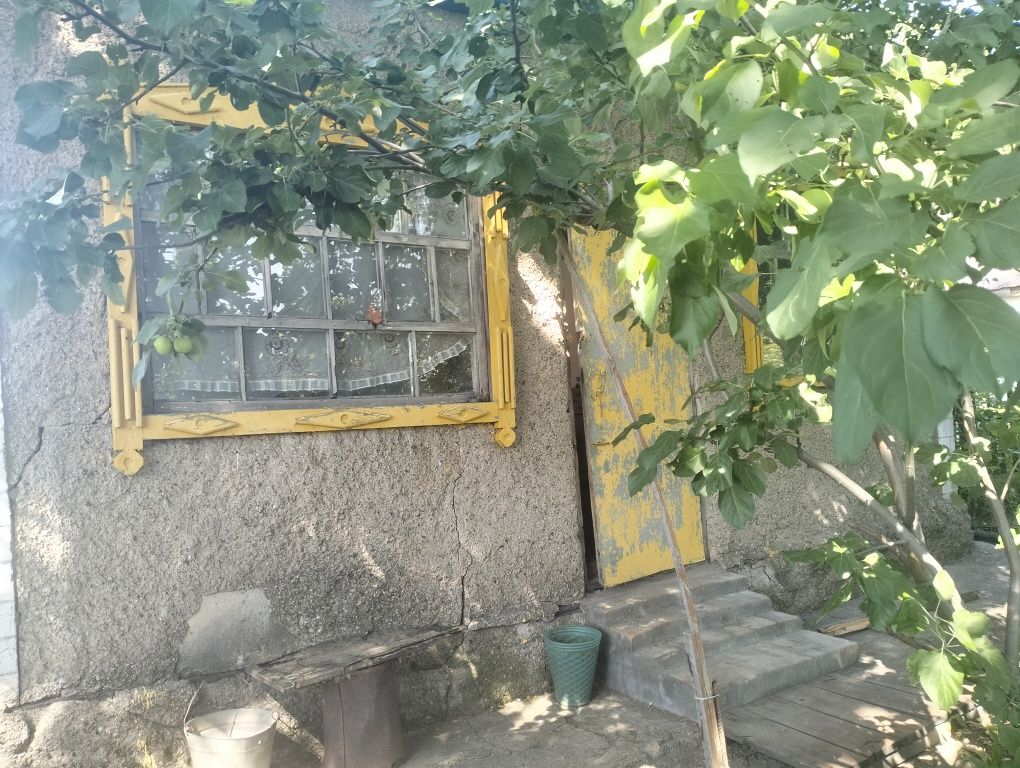 Продается Дача в Обществе трест МЖС