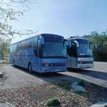 Комфортный автобус на заказ сетра 315