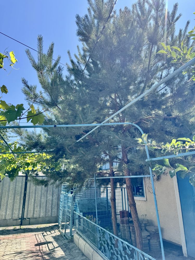 Продается Дом в районе сахарного завода