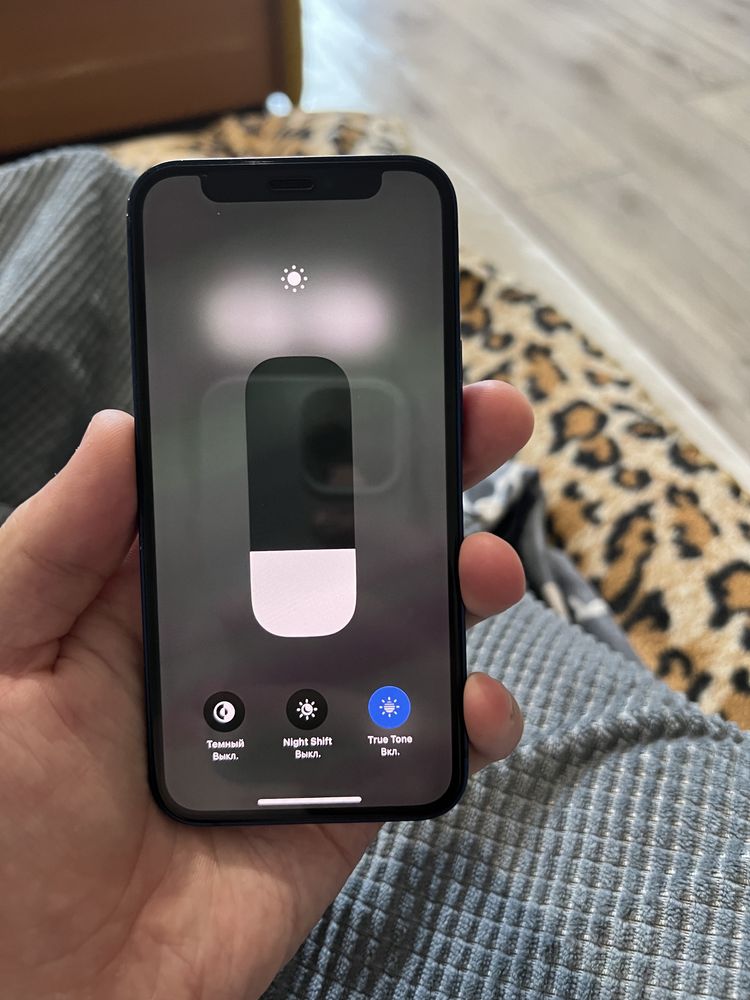 Iphone 12 miinii