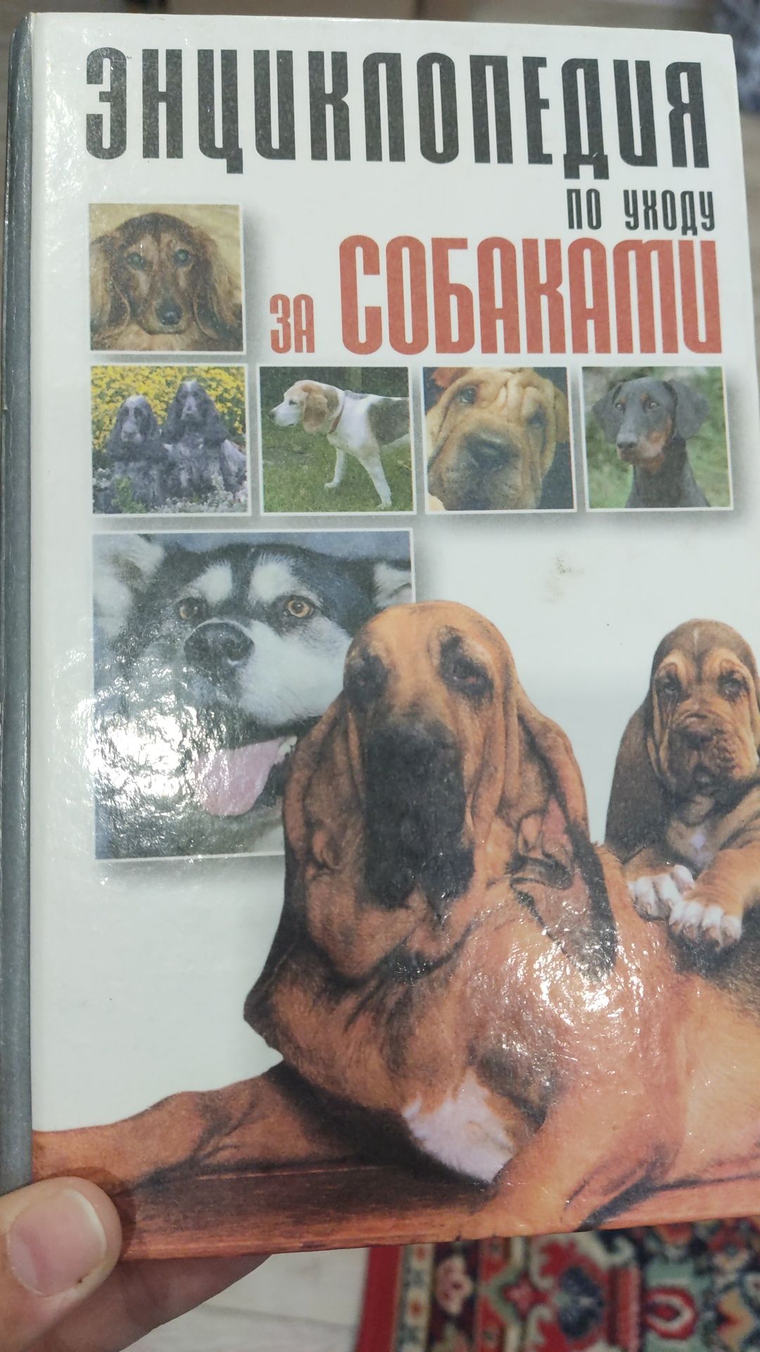 Отдам книги разные