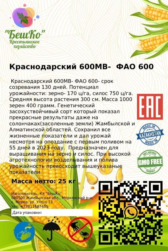 Силос жүгері тұқымы. Жүгері ұрығы. Жугери урыгы