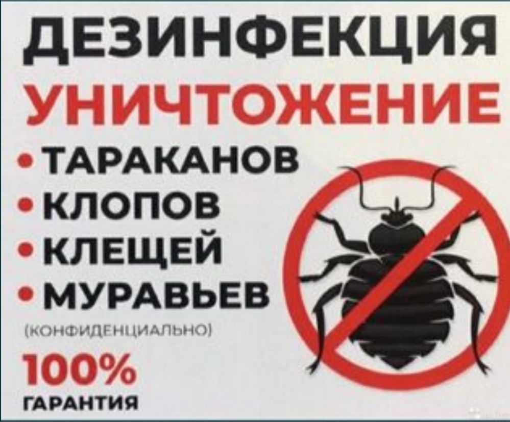 Угичтожение клопов, термитов и тараканов