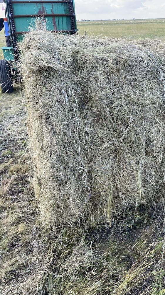Сено свежее!!!доставка ,