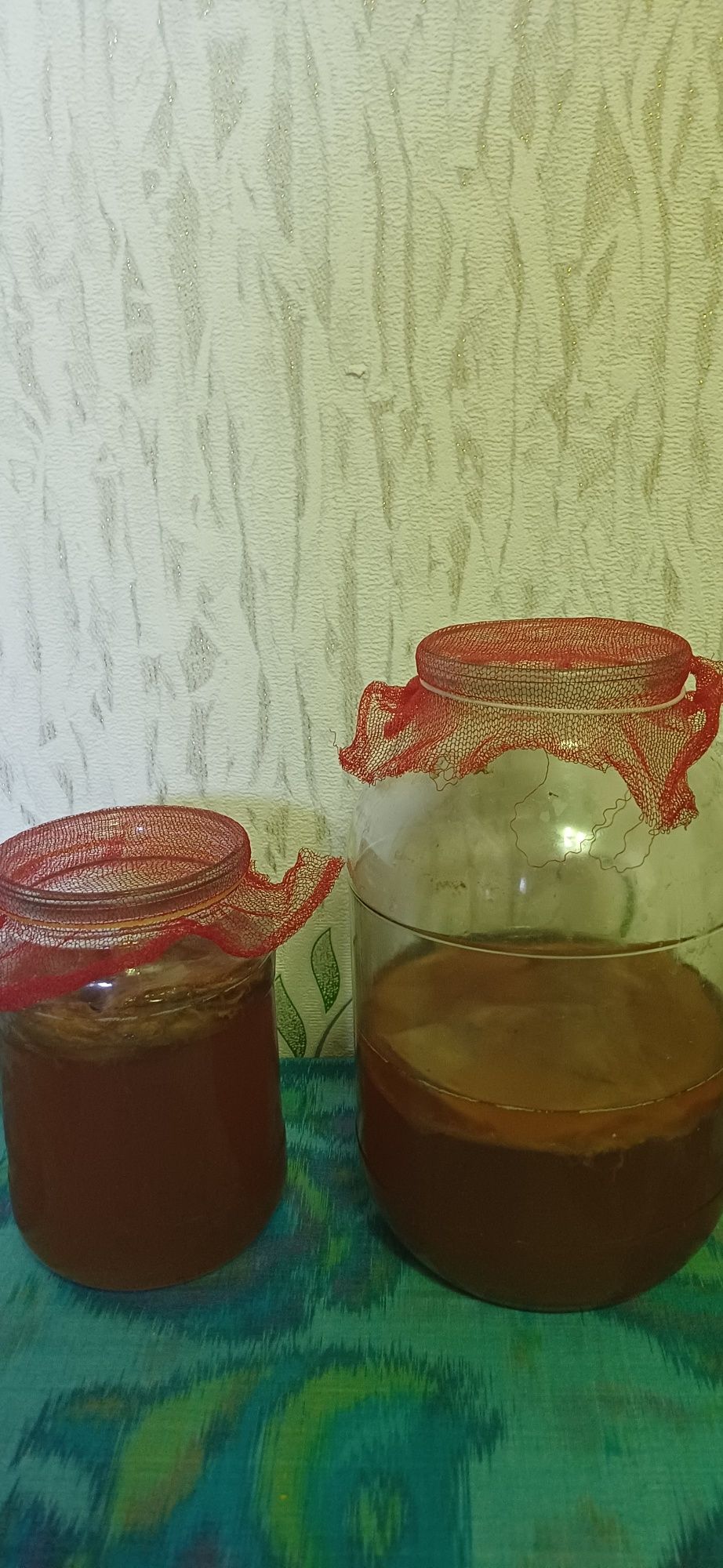 Чайный гриб камбуча