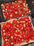 Продам замороженные клубники