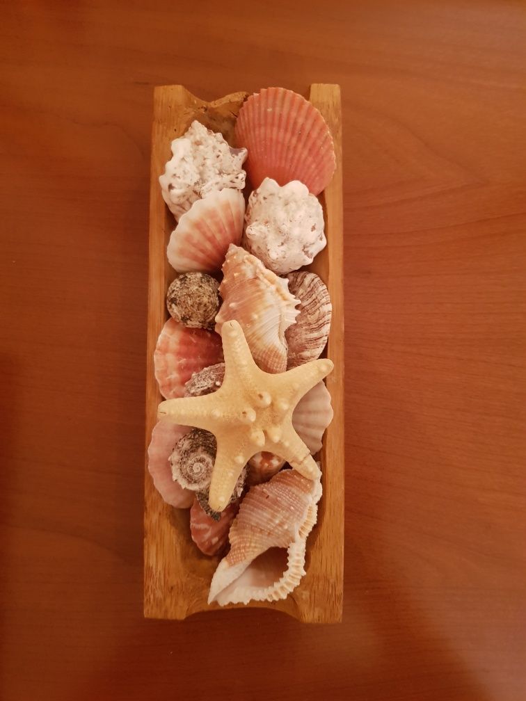 Декор для ванны и детской  (подарок)