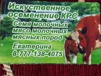 Искуственное осеменение