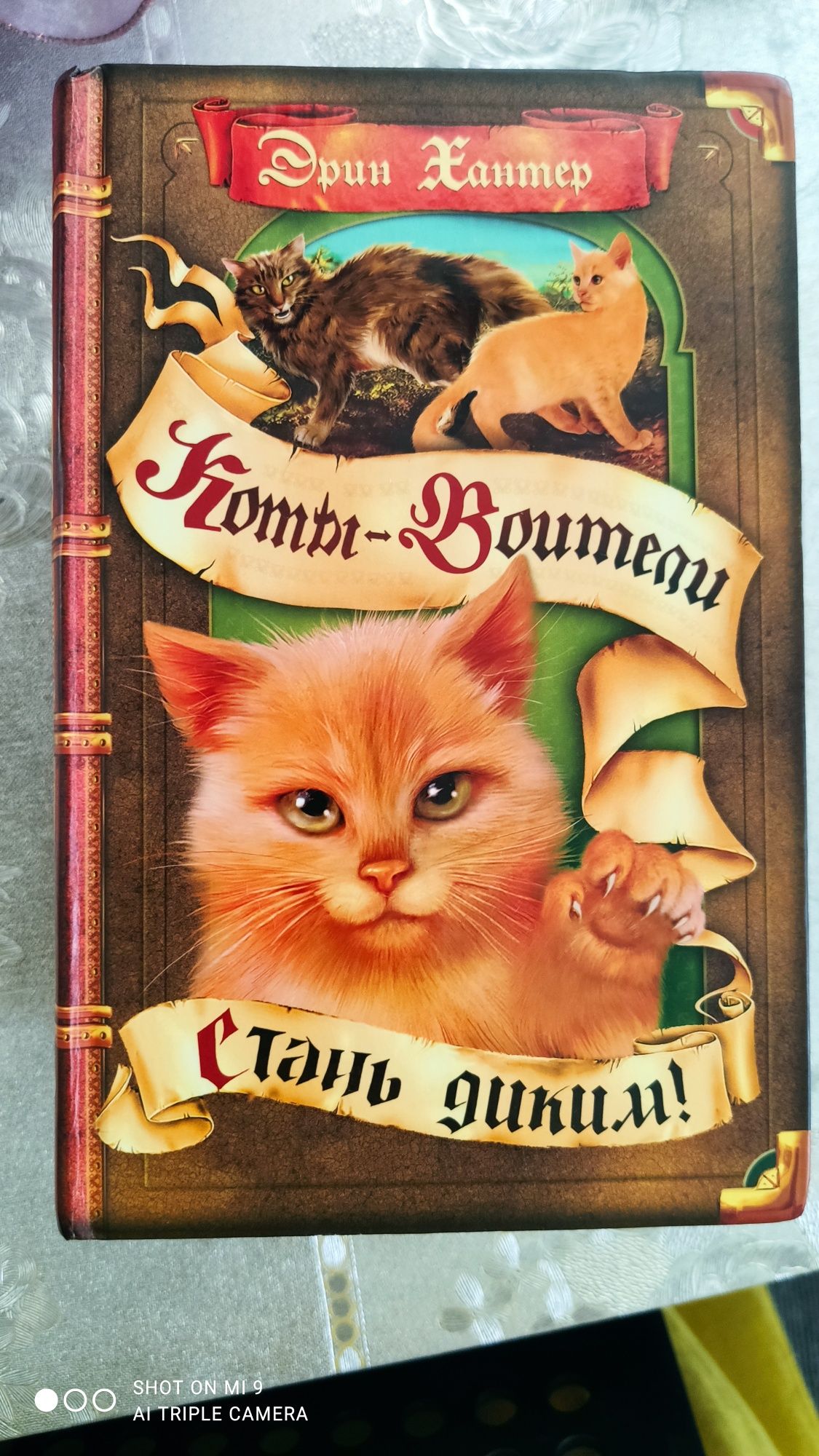 Коты Воители. Книги.