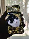 Samsung s23 Plus 256gb